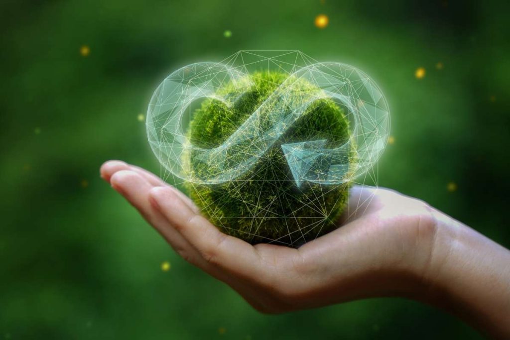Sustainability and circular economy