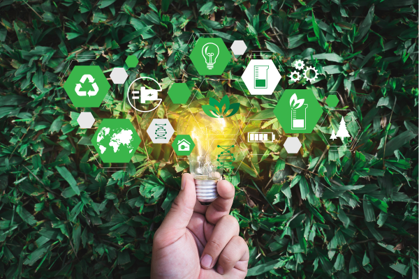 Startup Solutions in sustainability